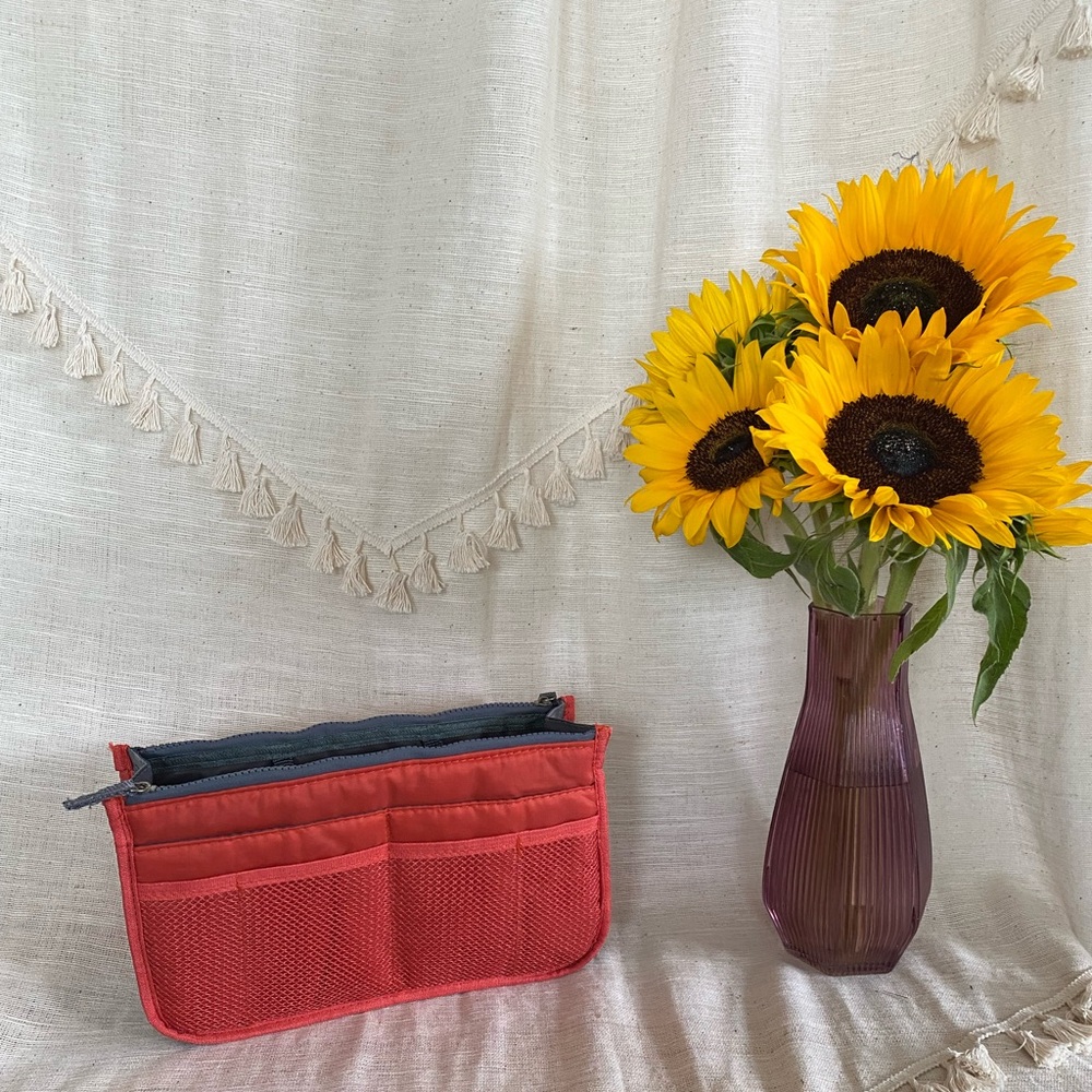 Longchamp handbag organizer